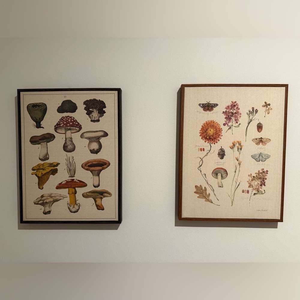 Seasons Study 2 Frames - Lisa Audit